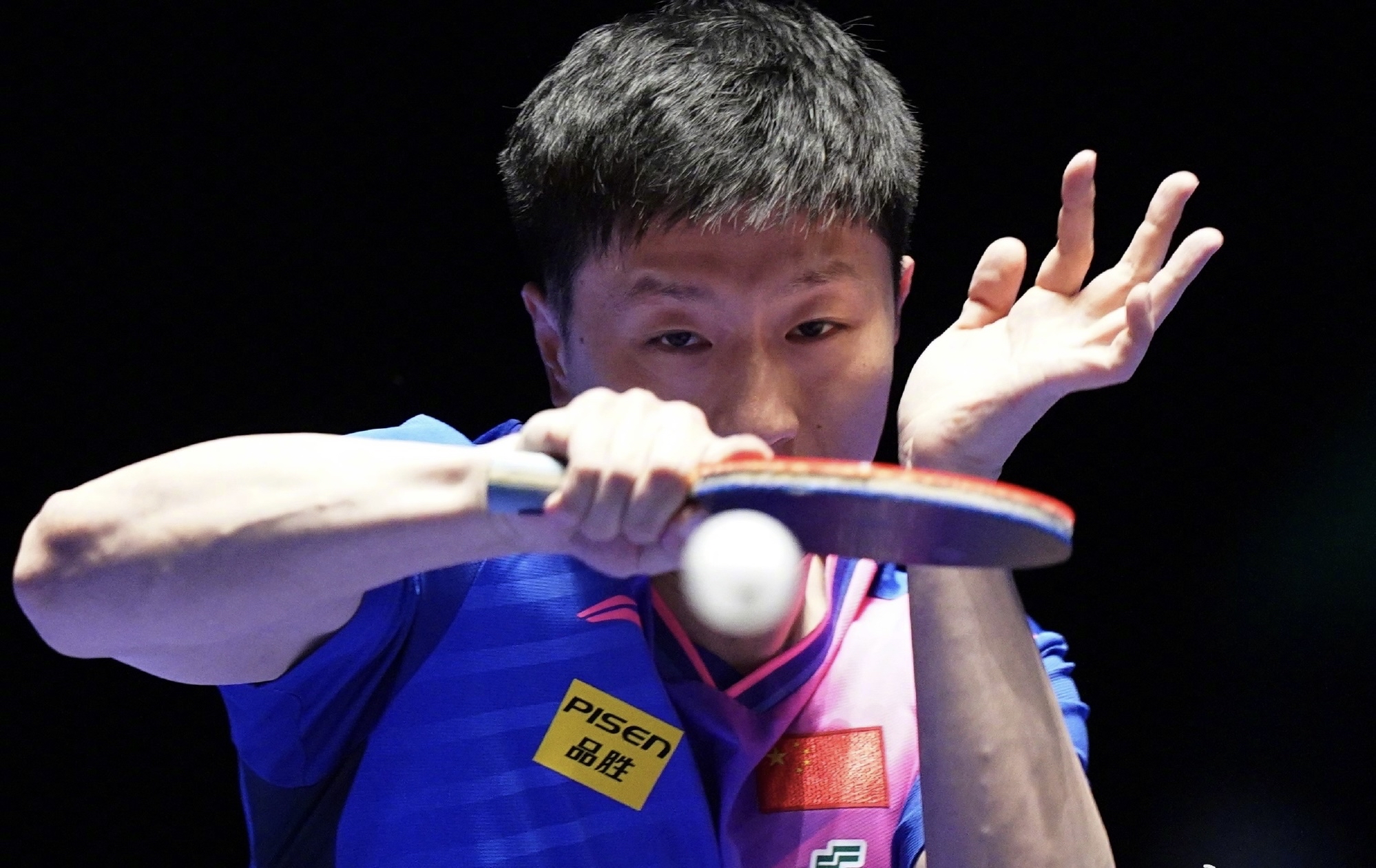 比利时乒乓球队翻盘波兰乒乓球队，马龙高光表现的简单介绍