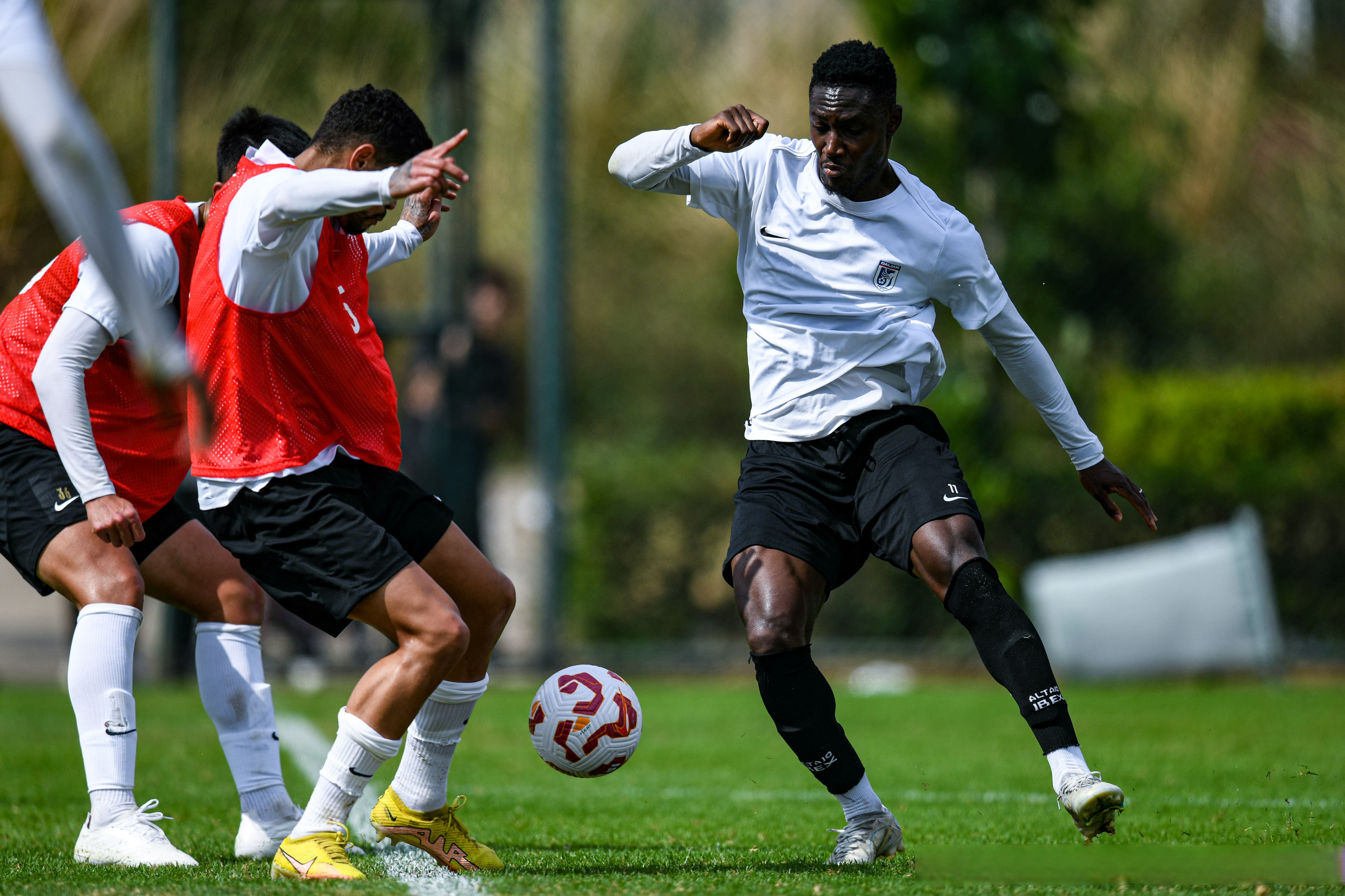 球队开启集训，融合球员能力予以提升的简单介绍