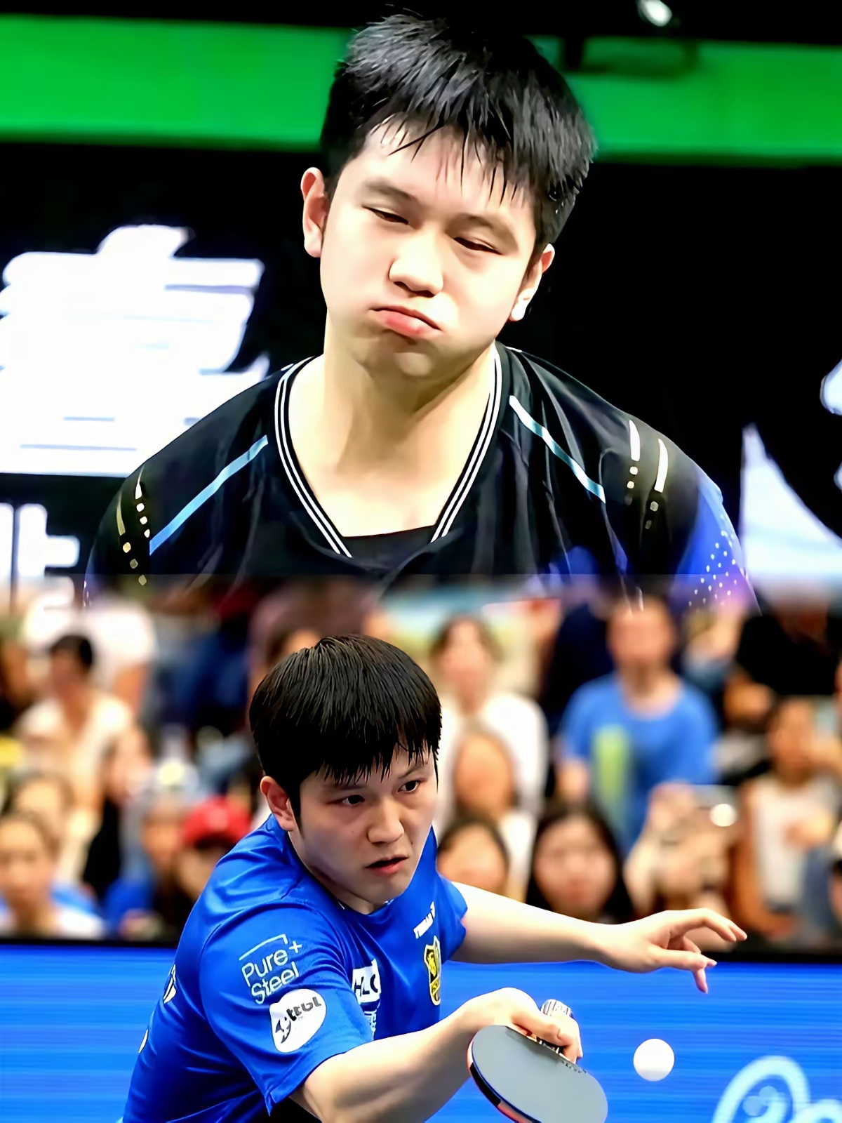 日本乒乓球队力克英国乒乓球队,樊振东完成帽子戏法的简单介绍 日本乒乓球队力克英国乒乓球队,樊振东完成帽子戏法的简单介绍