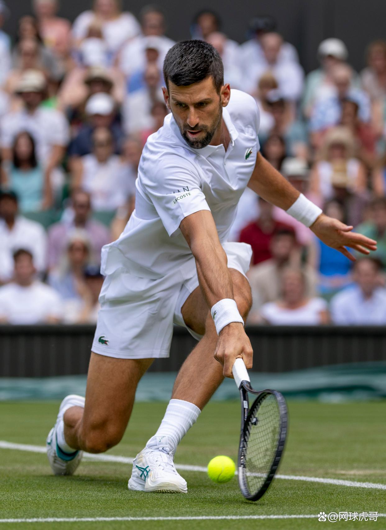 西班牙网球队轻取日本网球队，德约科维奇绝境逆转的简单介绍