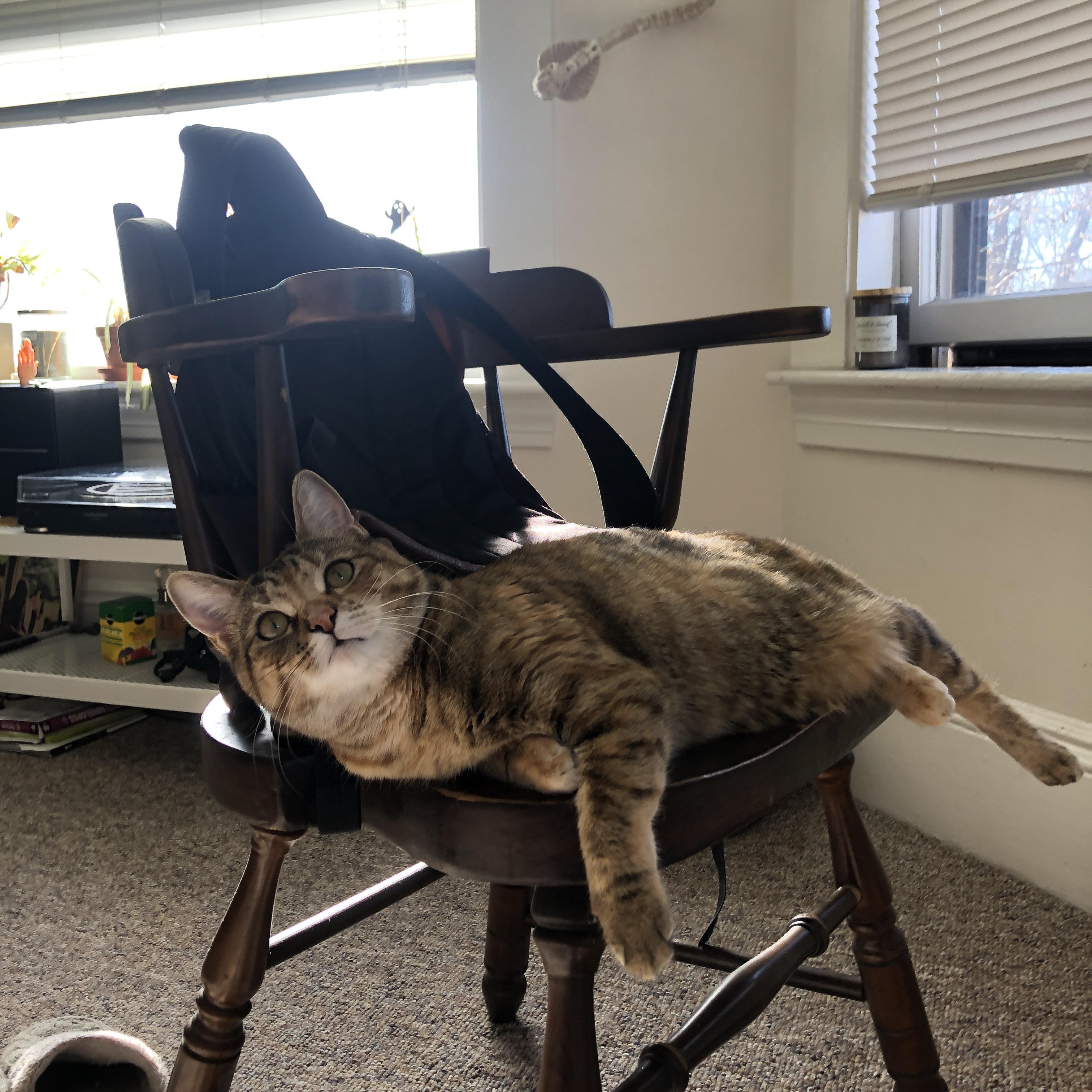 PG电子试玩官网-斯通斯爆发打破僵局，勒沃库森以希腊式节奏掌控全局