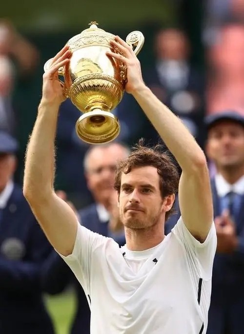 PG中国登录入口-戴维斯杯翻盘ATP总决赛，穆雷惊艳四座的简单介绍